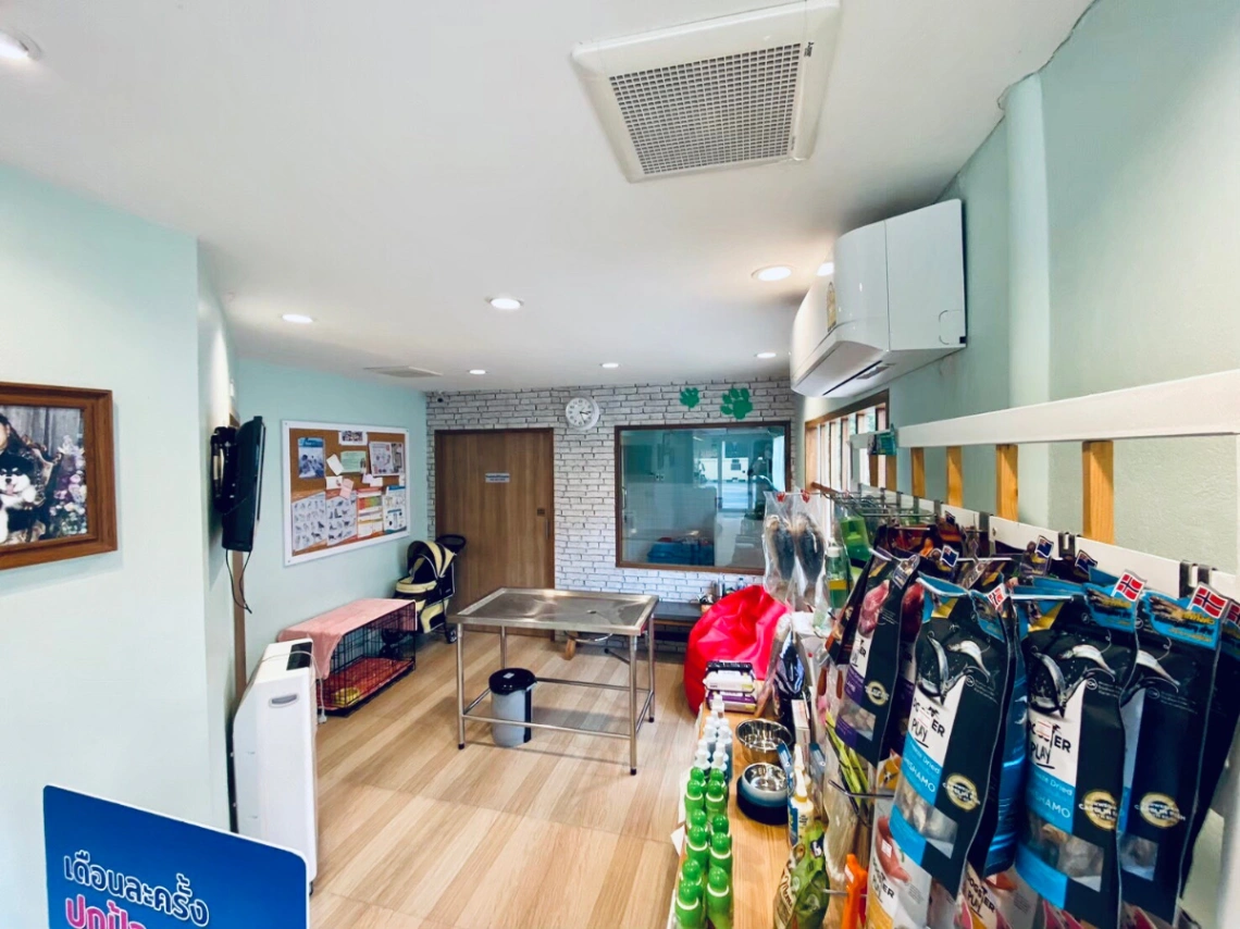 โรงพยาบาลสัตว์เพ็ทเกษตร มหาชัย - รูปภาพที่ 2