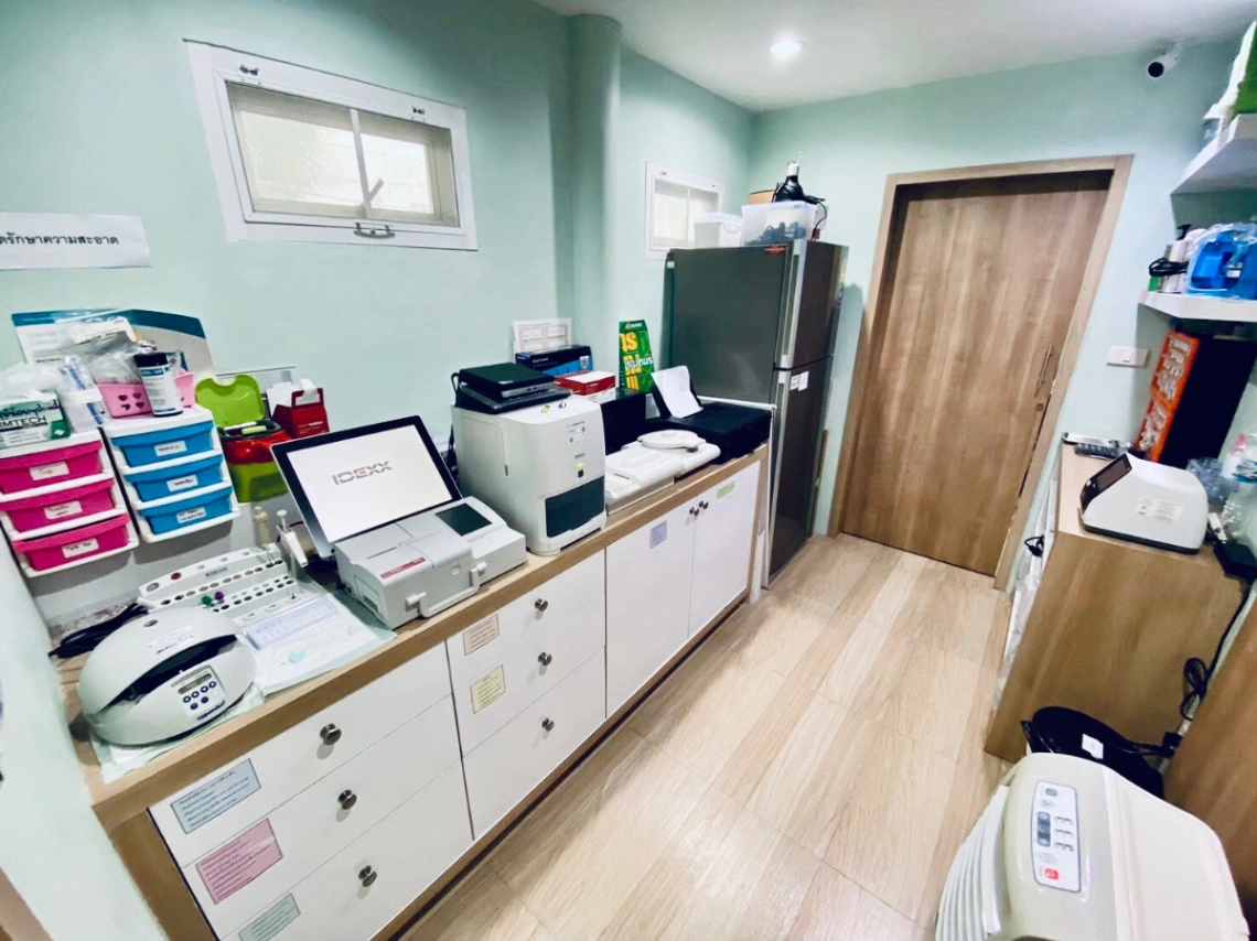 โรงพยาบาลสัตว์เพ็ทเกษตร มหาชัย - รูปภาพที่ 4