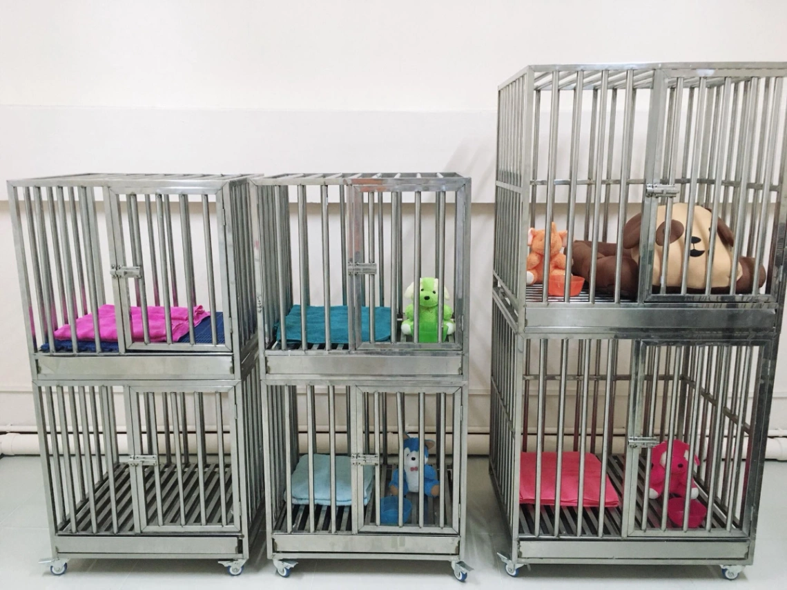 โรงพยาบาลสัตว์สุขศัลย์ - รูปภาพที่ 3