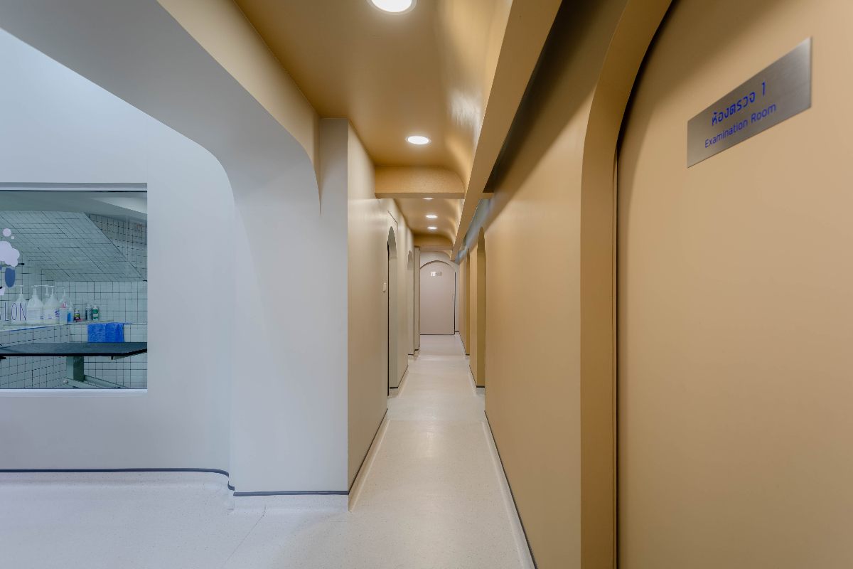 โรงพยาบาลสัตว์แคปปิตอล เปิด 24 ชั่วโมง - รูปภาพที่ 3