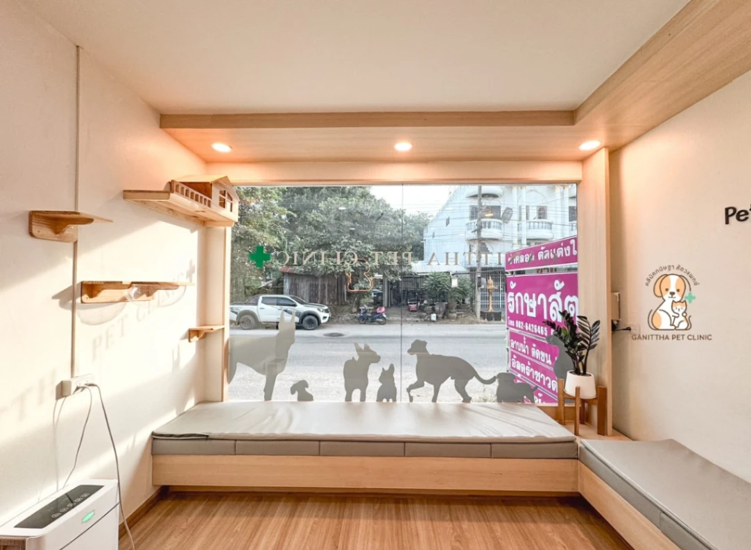 คลินิกกนิษฐาสัตวแพทย์ - รูปภาพที่ 4