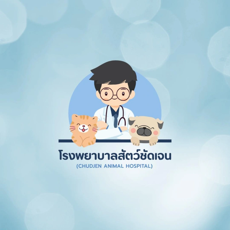 ทำหมันสัตว์ ที่ โรงพยาบาลสัตว์ชัดเจน