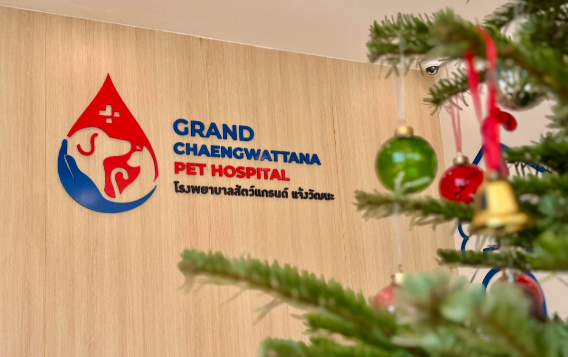 รูปที่ 3