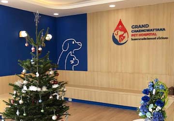 คลินิกทำหมันสัตว์ โรงพยาบาลสัตว์แกรนด์ แจ้งวัฒนะ