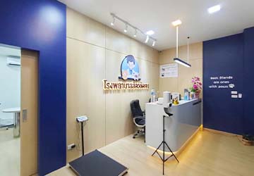 คลินิกทำหมันสัตว์ โรงพยาบาลสัตว์ชัดเจน