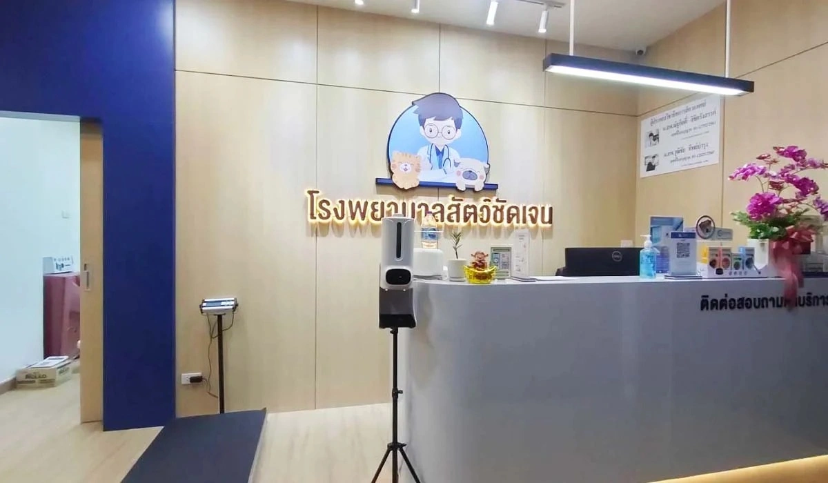 ทำหมันสัตว์ ที่ โรงพยาบาลสัตว์ชัดเจน