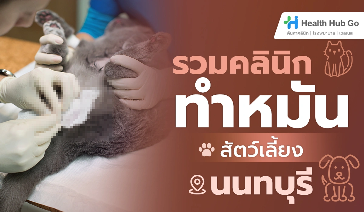 ส่อง 5 คลินิกทำหมันสัตว์ ในนนทบุรี พาน้องไปที่ไหนดี?