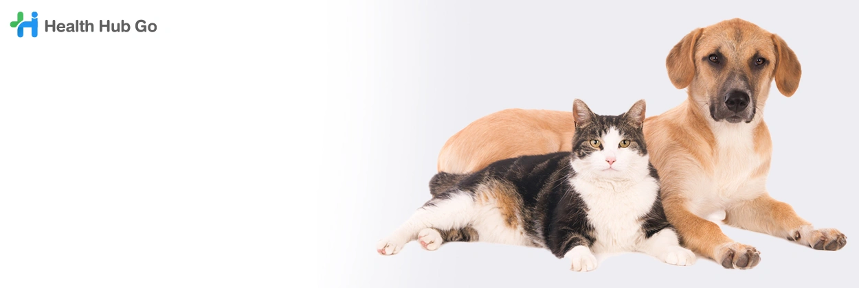 รักษาสัตว์