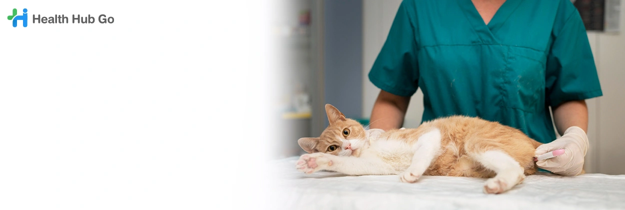 กายภาพบำบัดสัตว์