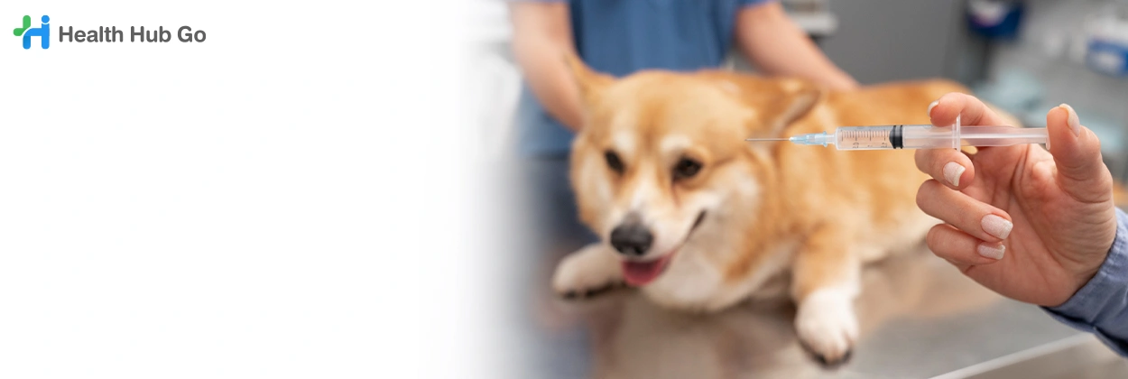 ฉีดวัคซีนและป้องกันโรคในสัตว์