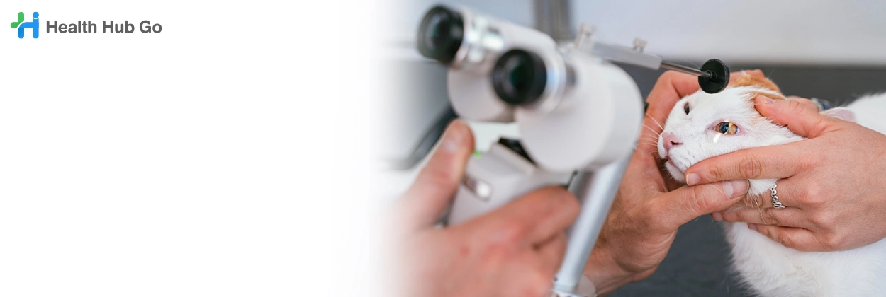 ตรวจวินิจฉัยและรักษาโรคตาสัตว์