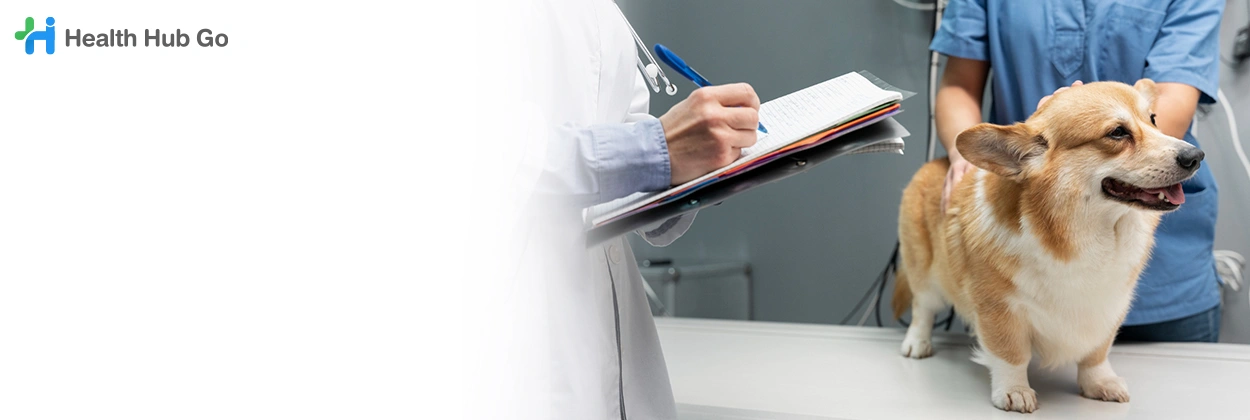 ตรวจวินิจฉัยและรักษาโรคทั่วไป