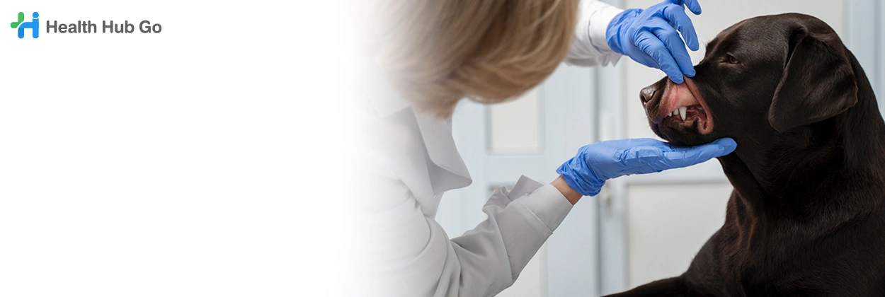 ทันตกรรมในสัตว์