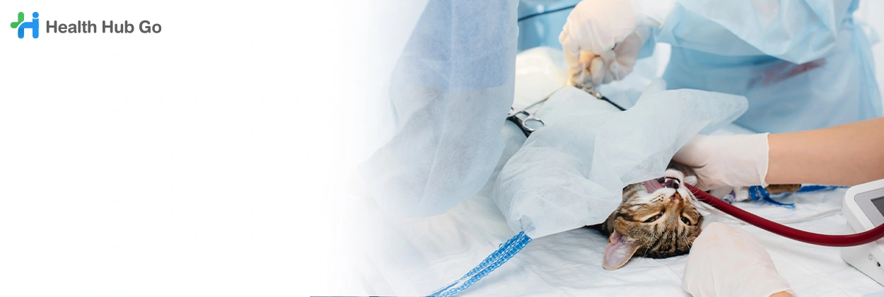 ผ่าตัดและศัลยกรรมสัตว์