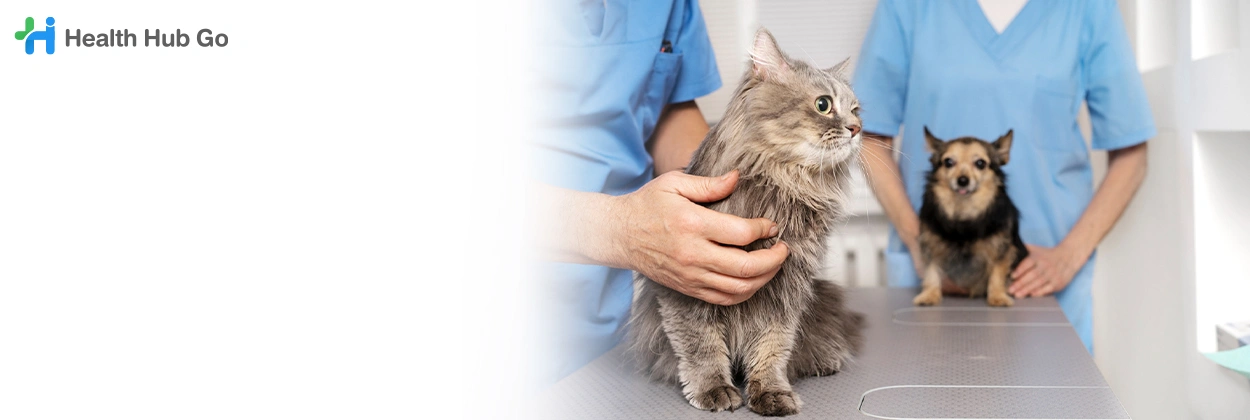 รับฝากสัตว์เลี้ยง