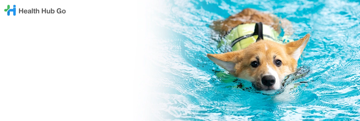 บำบัดสัตว์ด้วยการว่ายน้ำ