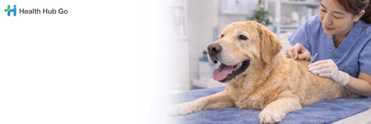 ฝังเข็มสัตว์