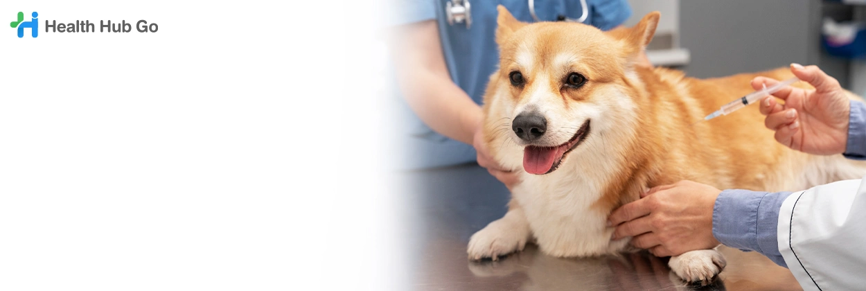 ฉีดวัคซีนทางเลือกในสัตว์