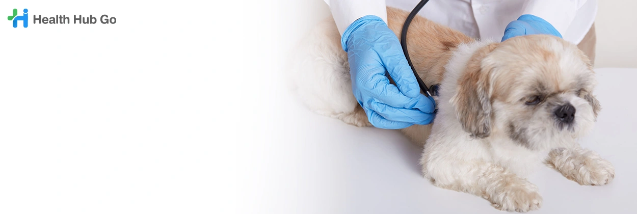 รักษาโรคไตและระบบทางเดินปัสสาวะในสัตว์