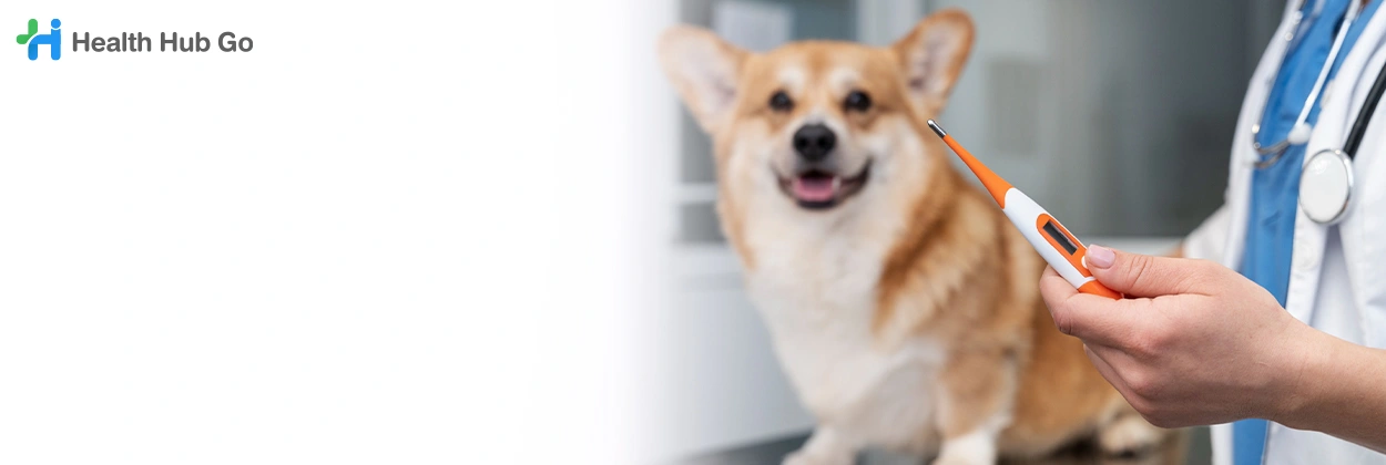 รักษาโรคทั่วไป