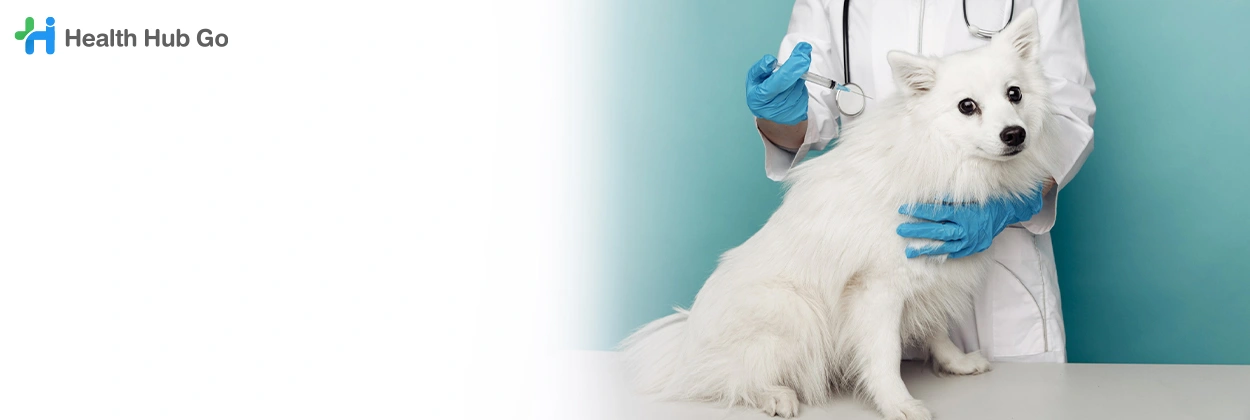 รักษาโรคไวรัสในสัตว์