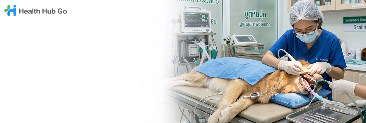 ขูดหินปูนสัตว์