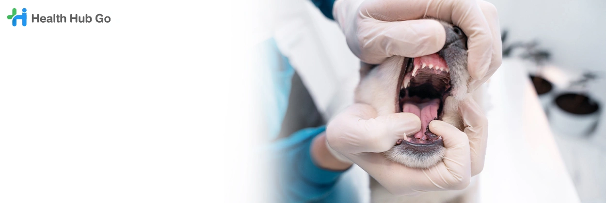 ตรวจสุขภาพช่องปากสัตว์
