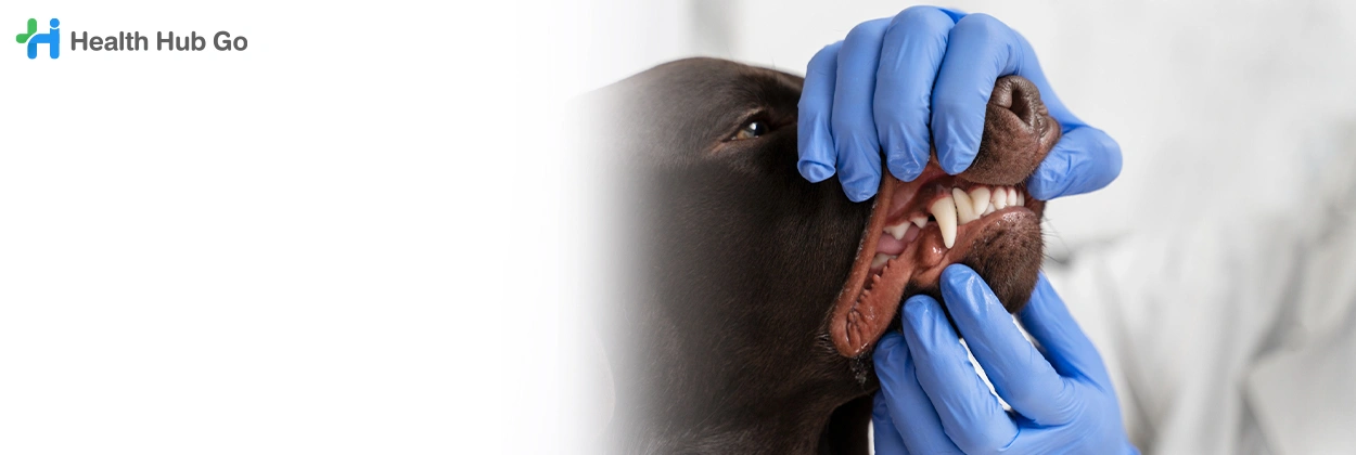 ถอนฟันสัตว์