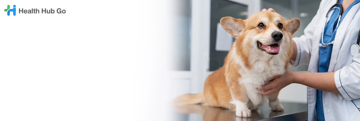 รักษาสัตว์ฟันผุ