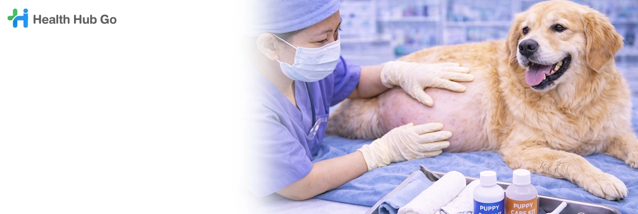 ผ่าตัดทำคลอดสัตว์