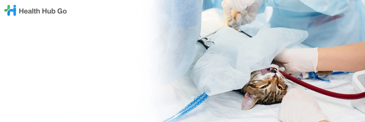 ผ่าตัดทำหมันสัตว์