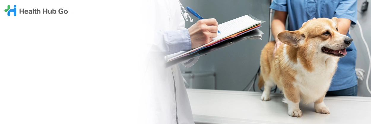 ผ่าตัดเนื้อเยื้ออ่อนในสัตว์