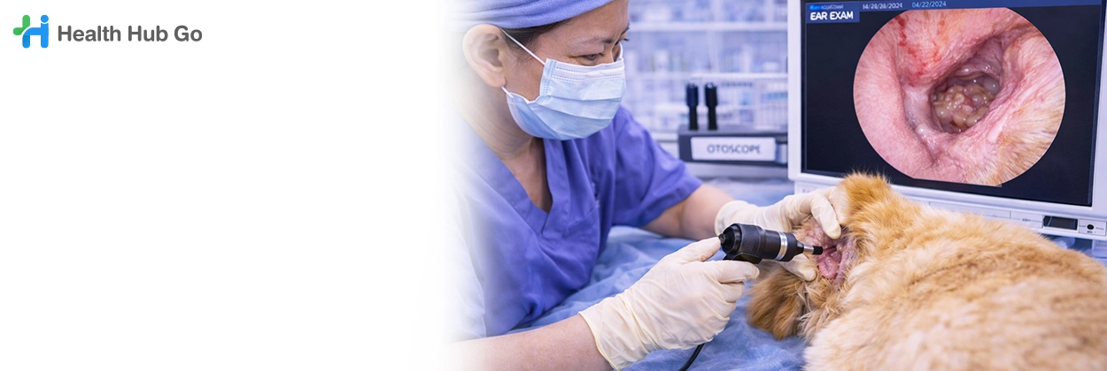 ส่องกล้องช่องหูในสัตว์