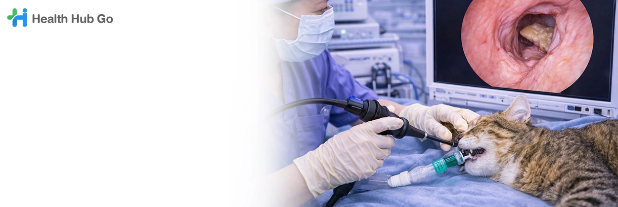 ส่องกล้องในสัตว์เลี้ยง