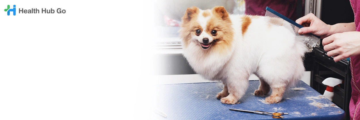 ตัดขนสัตว์