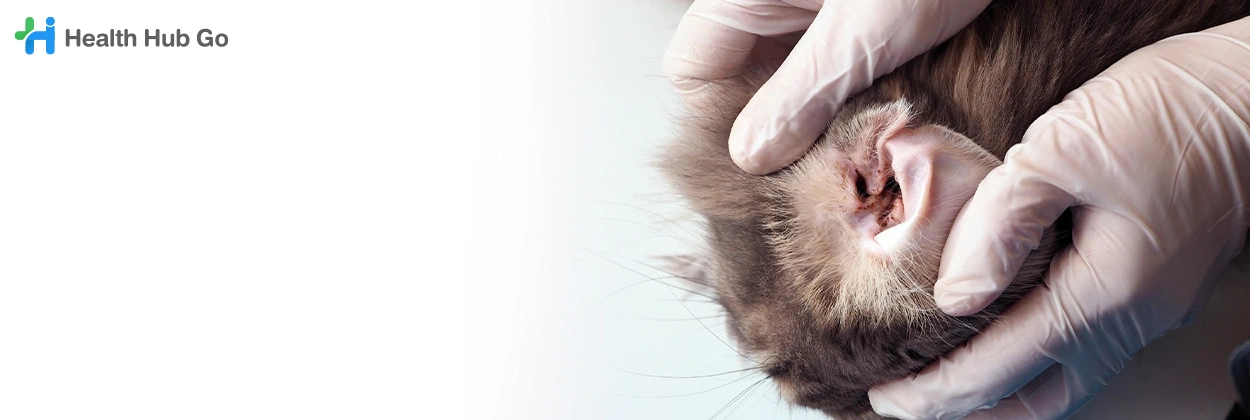 ทำความสะอาดหูสัตว์