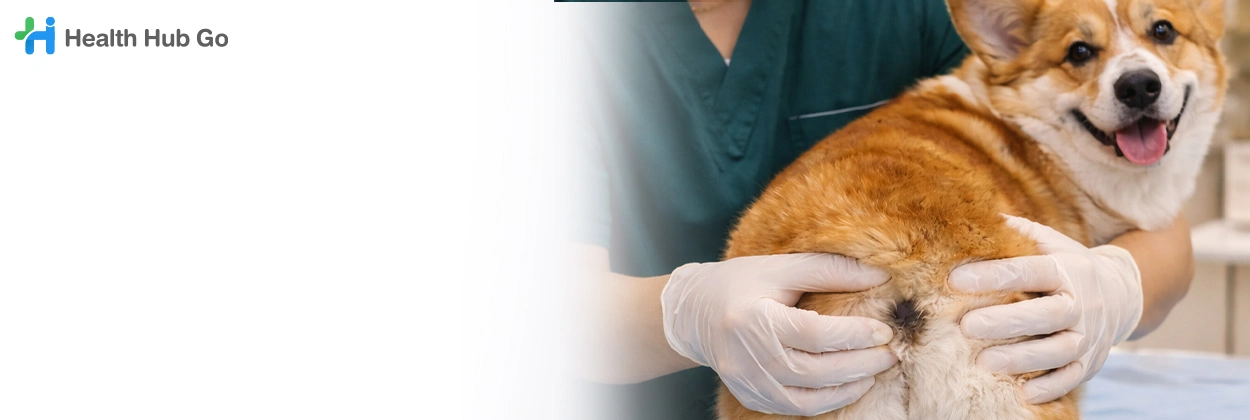 บีบต่อมข้างก้นสัตว์