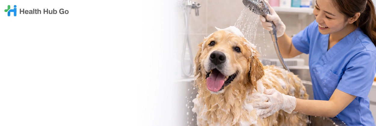 อาบน้ำสัตว์