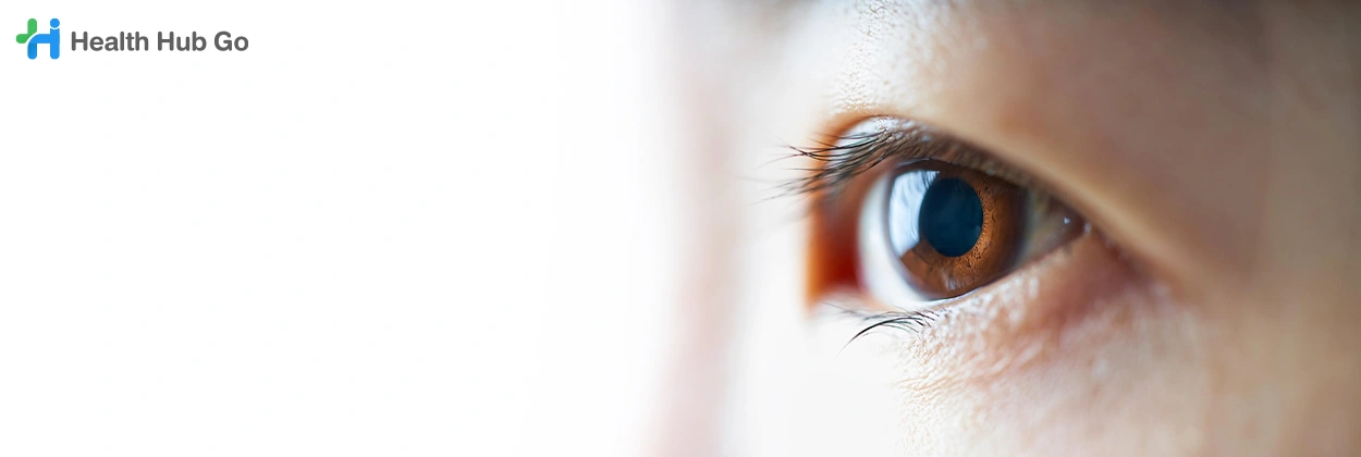 ตรวจลานสายตา