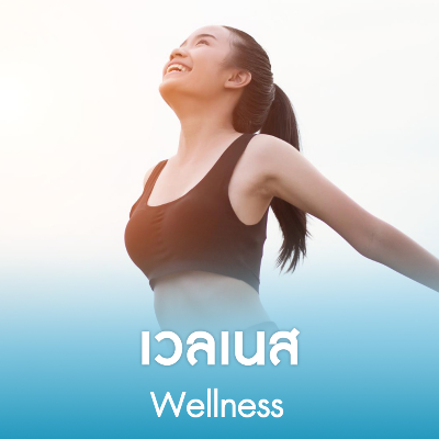 เวลเนส
