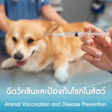 ฉีดวัคซีนและป้องกันโรคในสัตว์