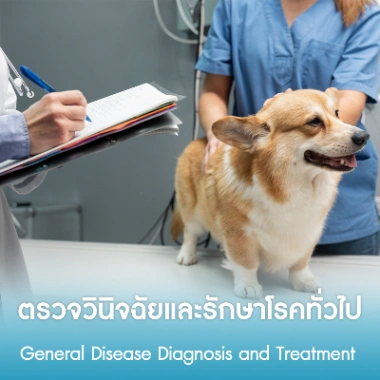 ตรวจวินิจฉัยและรักษาโรคทั่วไป