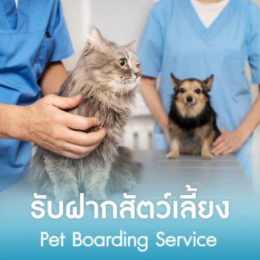 รับฝากสัตว์เลี้ยง