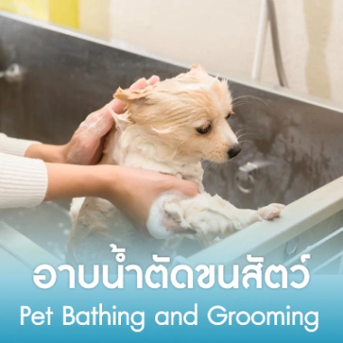 อาบน้ำตัดขนสัตว์