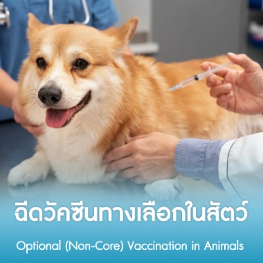 ฉีดวัคซีนทางเลือกในสัตว์