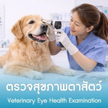 ตรวจสุขภาพตาสัตว์