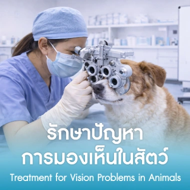 รักษาปัญหาการมองเห็นในสัตว์