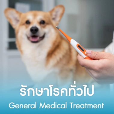 รักษาโรคทั่วไป