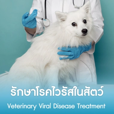 รักษาโรคไวรัสในสัตว์