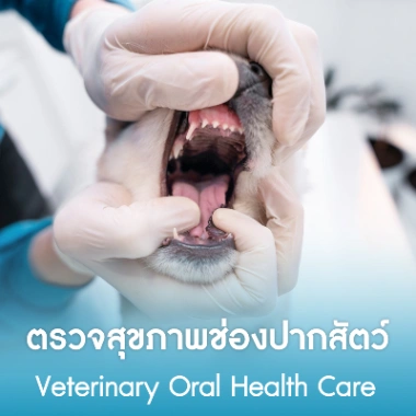 ตรวจสุขภาพช่องปากสัตว์